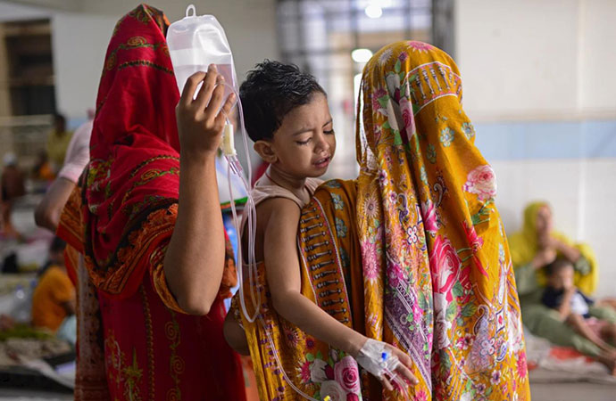 A total of 288 new dengue cases were reported across the country in 24 hours