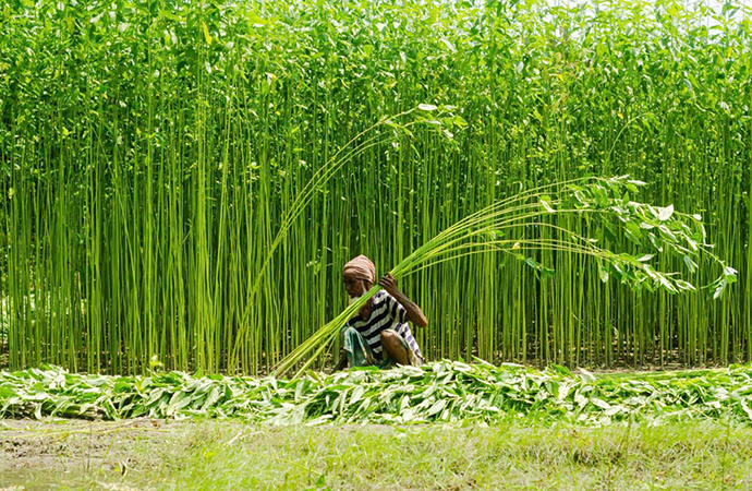 FARRM Schools and Climate Smarts for Bountiful Ruralities