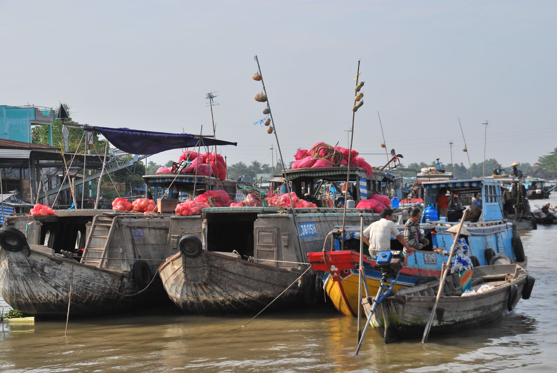 Mekong Delta