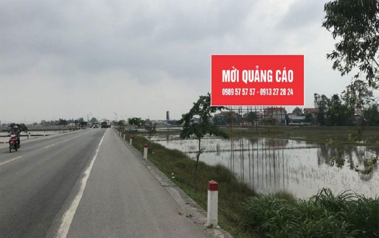 Thành Vinh 8