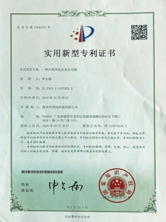 Picture17