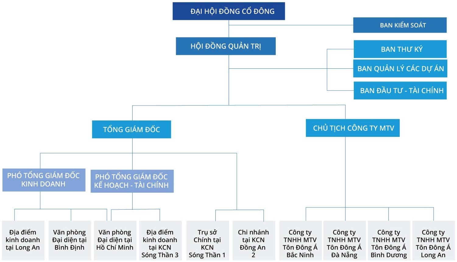 Sơ đồ tổ chức Hội đồng Cổ đông, Công ty Cổ phần Tôn Đông Á và các Công ty Thành viên