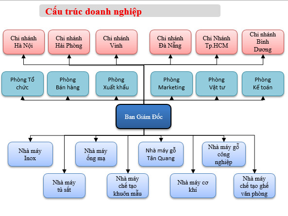 cấu trúc bộ máy