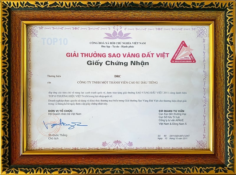 DRC-Giai-thuong-sao-vang-dat-viet-nam-2011