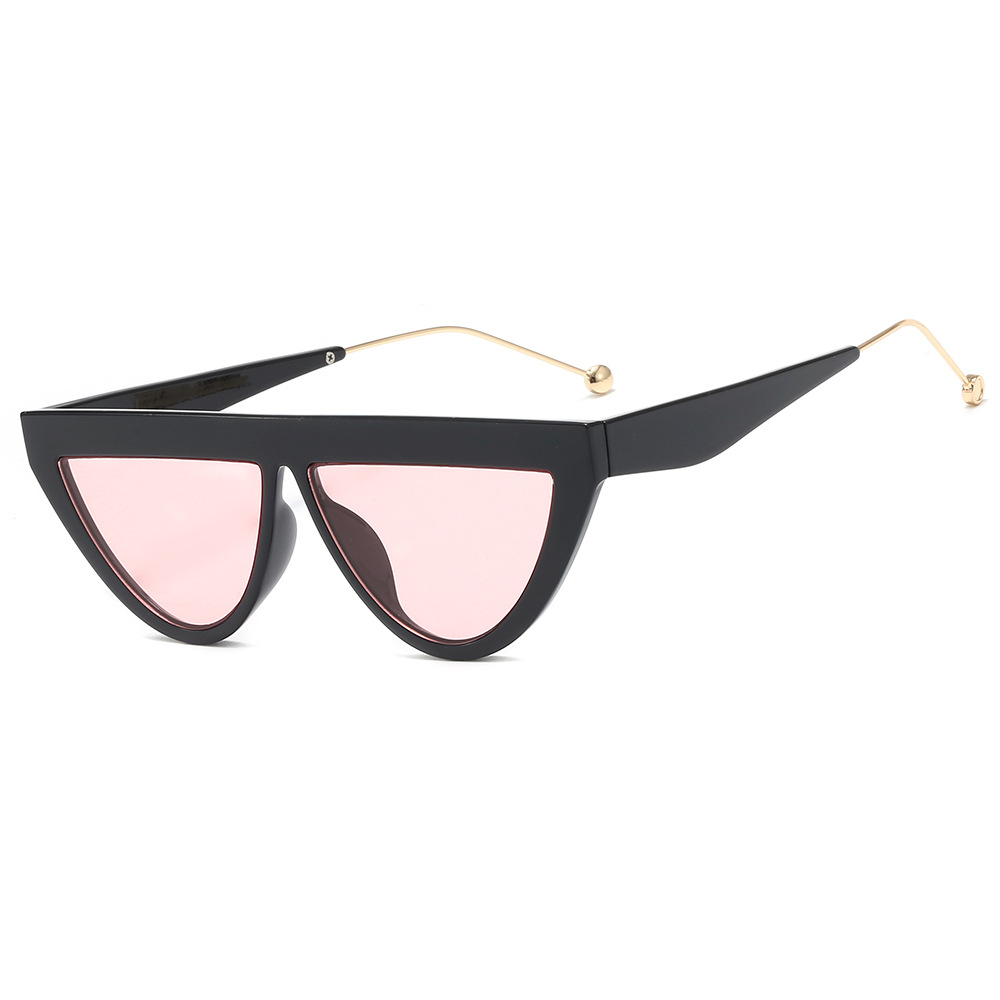  New sunglasses for the sleeping cat, from one of the chic and attractive styles, available in several colors