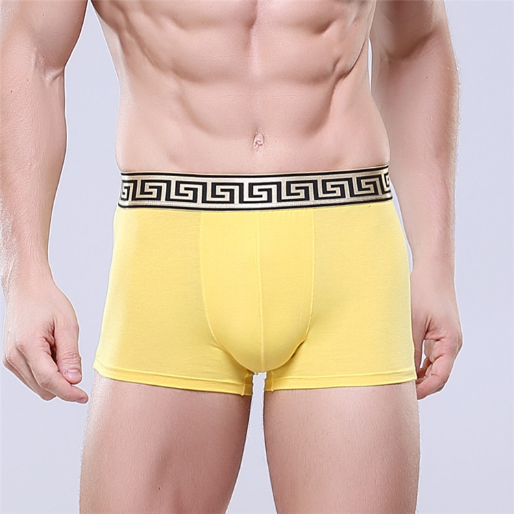 China Manufacturer Custom Male Underwear Sexy Mens Thong