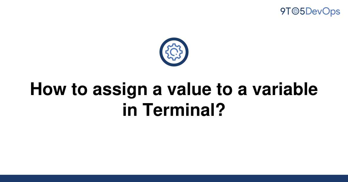 solved-how-to-assign-a-value-to-a-variable-in-terminal-9to5answer