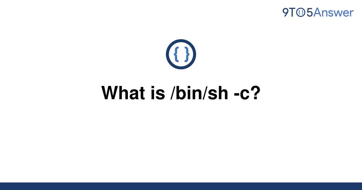 solved-what-is-bin-sh-c-9to5answer