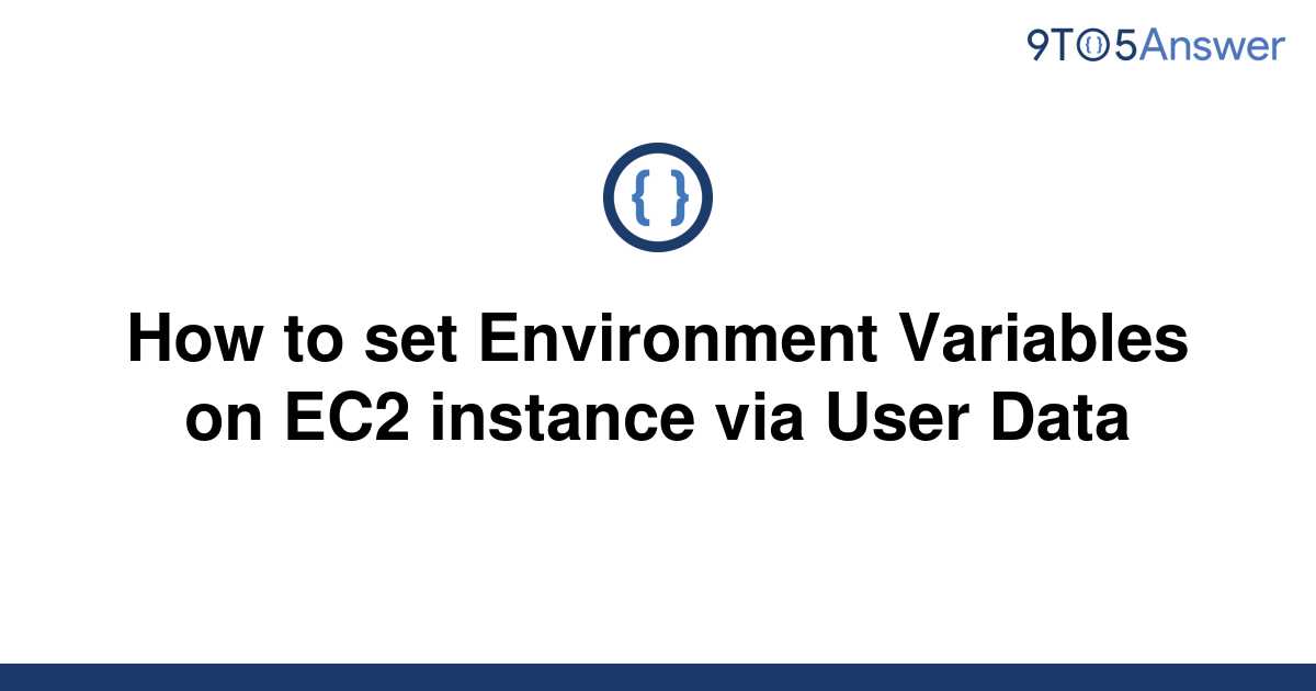 solved-how-to-set-environment-variables-on-ec2-instance-9to5answer