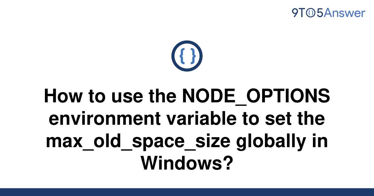 solved-how-to-use-the-node-options-environment-variable-9to5answer