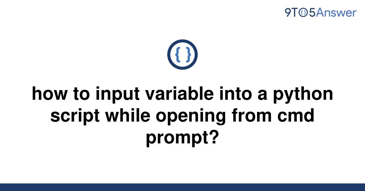 solved-how-to-input-variable-into-a-python-script-while-9to5answer