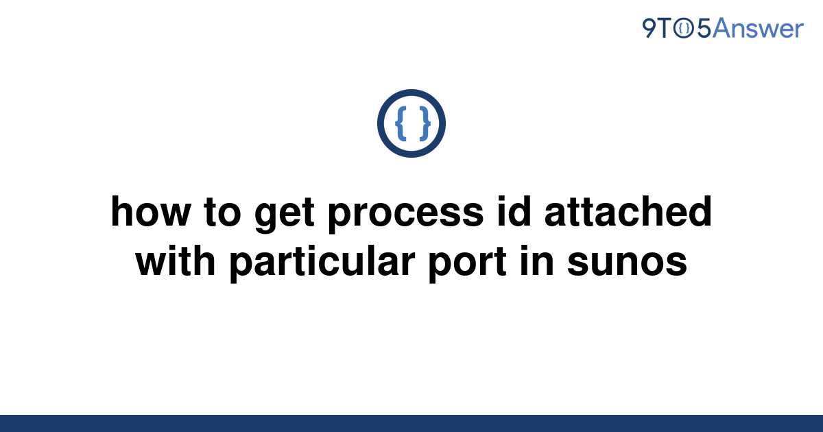 solved-how-to-get-process-id-attached-with-particular-9to5answer