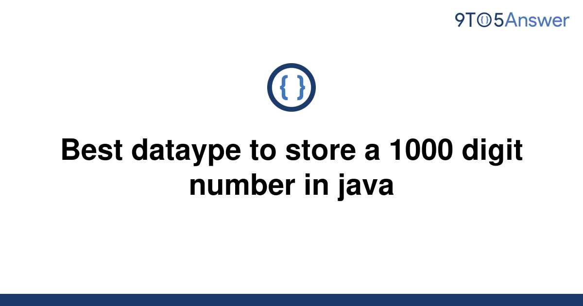 solved-best-dataype-to-store-a-1000-digit-number-in-9to5answer