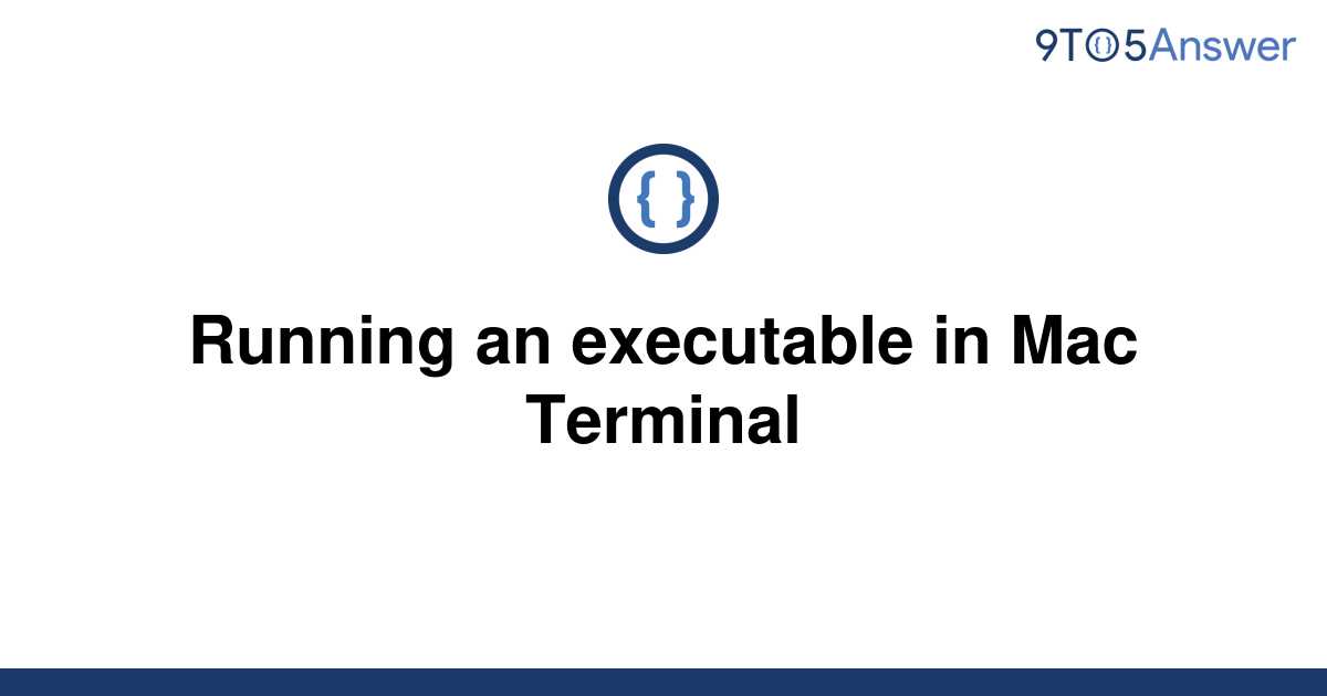 solved-running-an-executable-in-mac-terminal-9to5answer