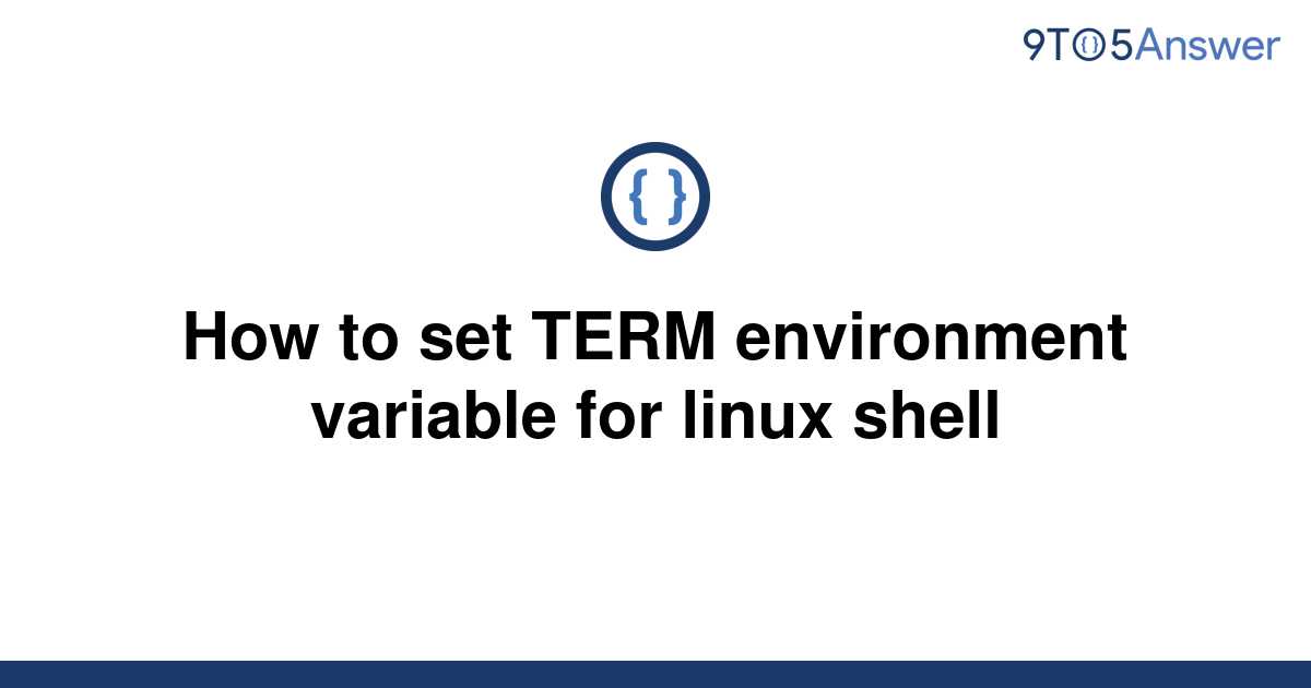 solved-how-to-set-term-environment-variable-for-linux-9to5answer