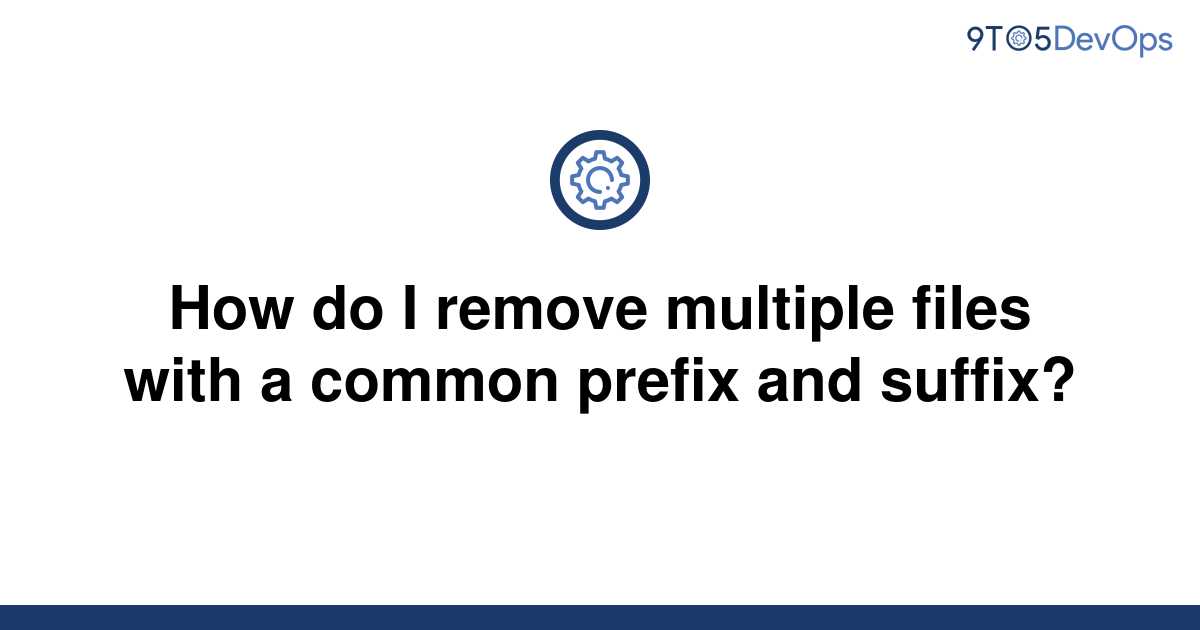 solved-how-do-i-remove-multiple-files-with-a-common-9to5answer