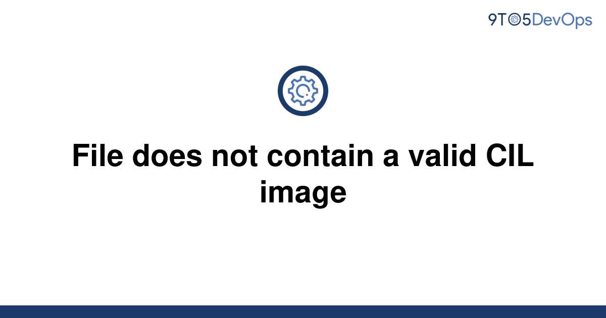 solved-file-does-not-contain-a-valid-cil-image-9to5answer