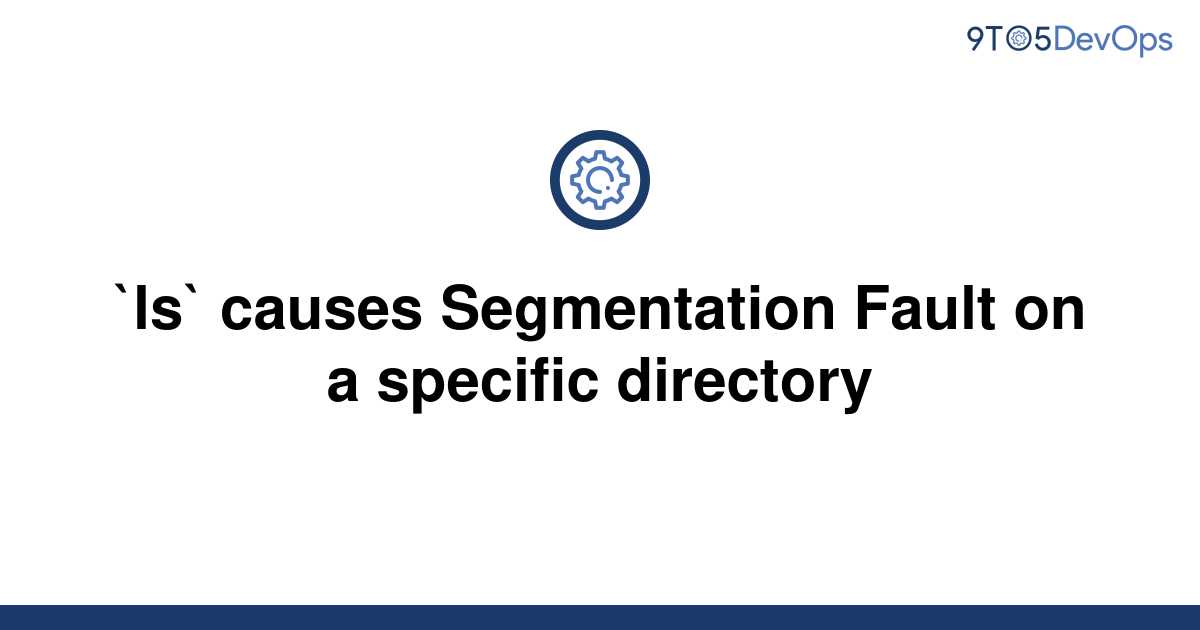 What Causes Segmentation Fault