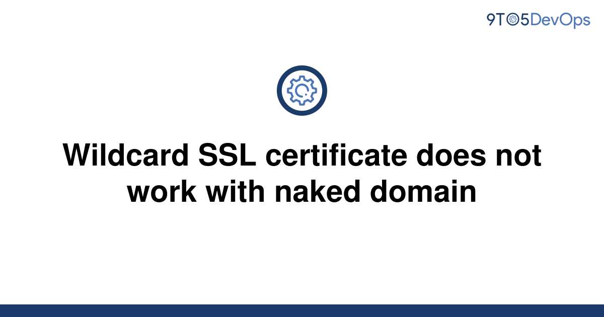 wildcard-ssl-certificate-and-how-does-it-work-newscase