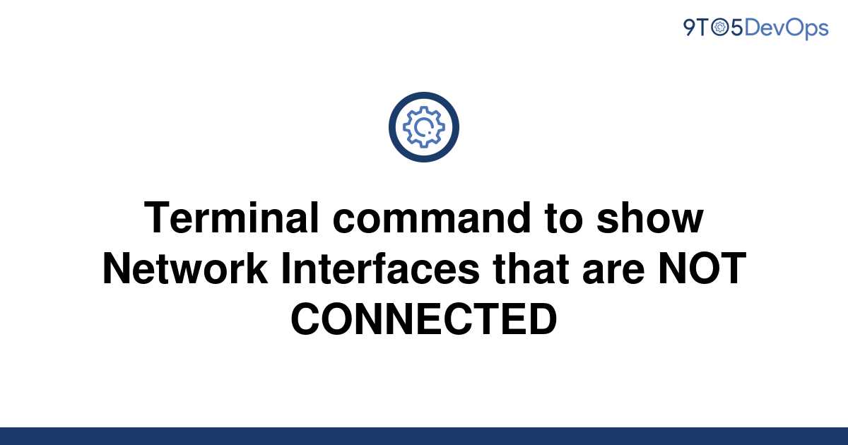 solved-terminal-command-to-show-network-interfaces-that-9to5answer