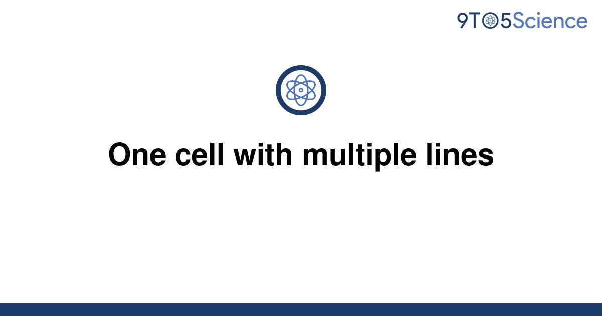 how-to-combine-text-from-multiple-cells-into-one-cell-in-excel-www