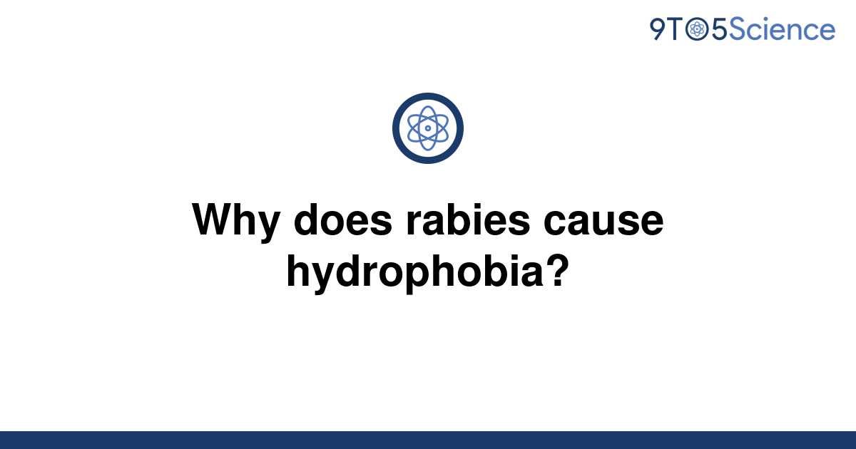 solved-why-does-rabies-cause-hydrophobia-9to5science