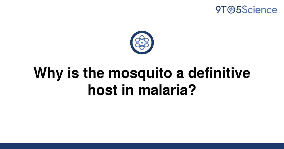 definitive-host-of-trichuris-trichiura-johannafvmorgan