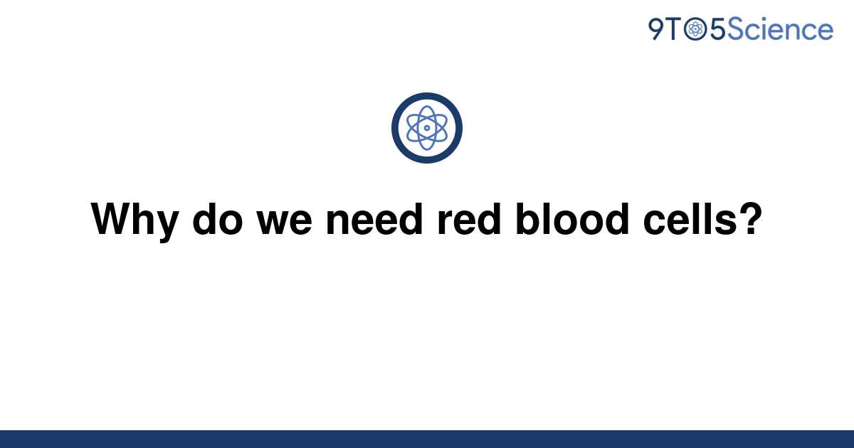 Solved Why Do We Need Red Blood Cells 9to5science