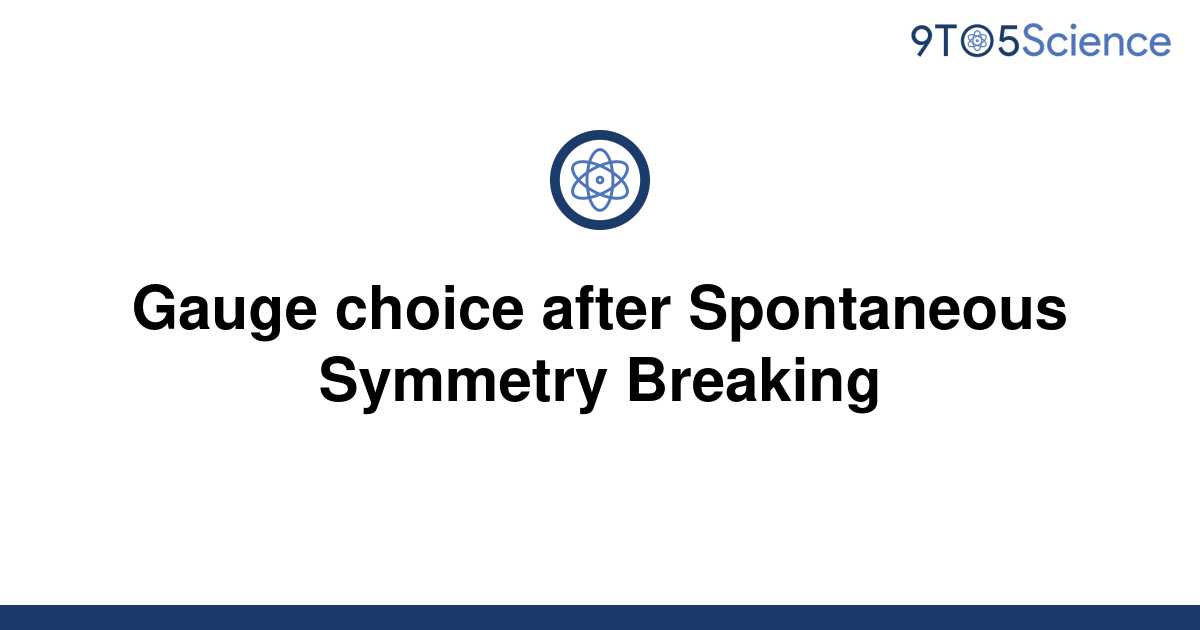 [Solved] Gauge choice after Spontaneous Symmetry 9to5Science