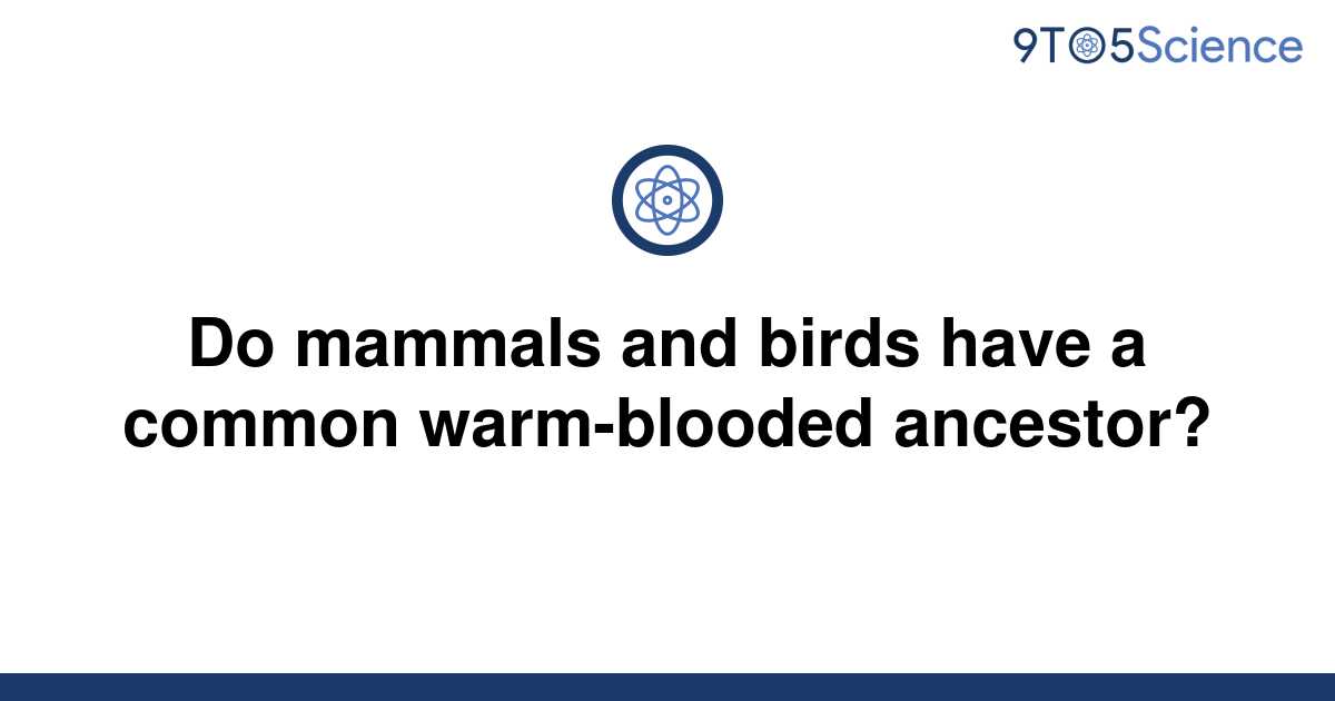 [Solved] Do mammals and birds have a common warm-blooded | 9to5Science