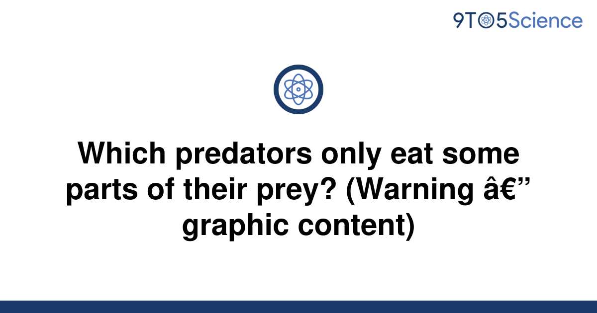 food fight predator vs prey