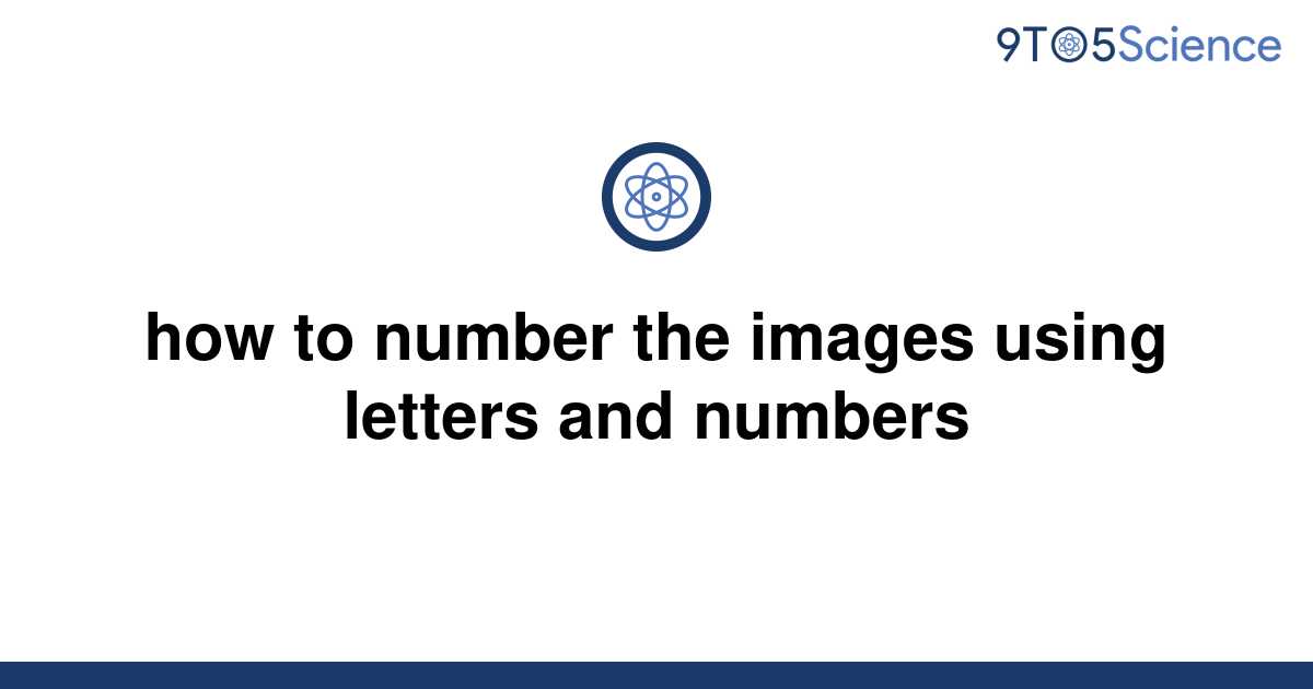 solved-how-to-number-the-images-using-letters-and-9to5science