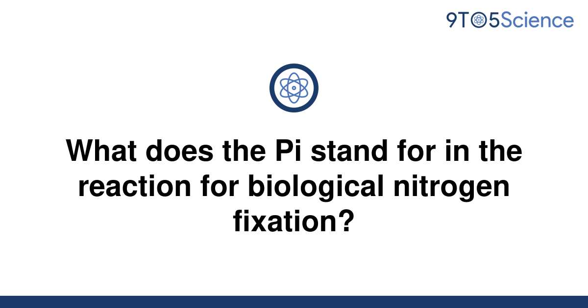 solved-what-does-the-pi-stand-for-in-the-reaction-for-9to5science