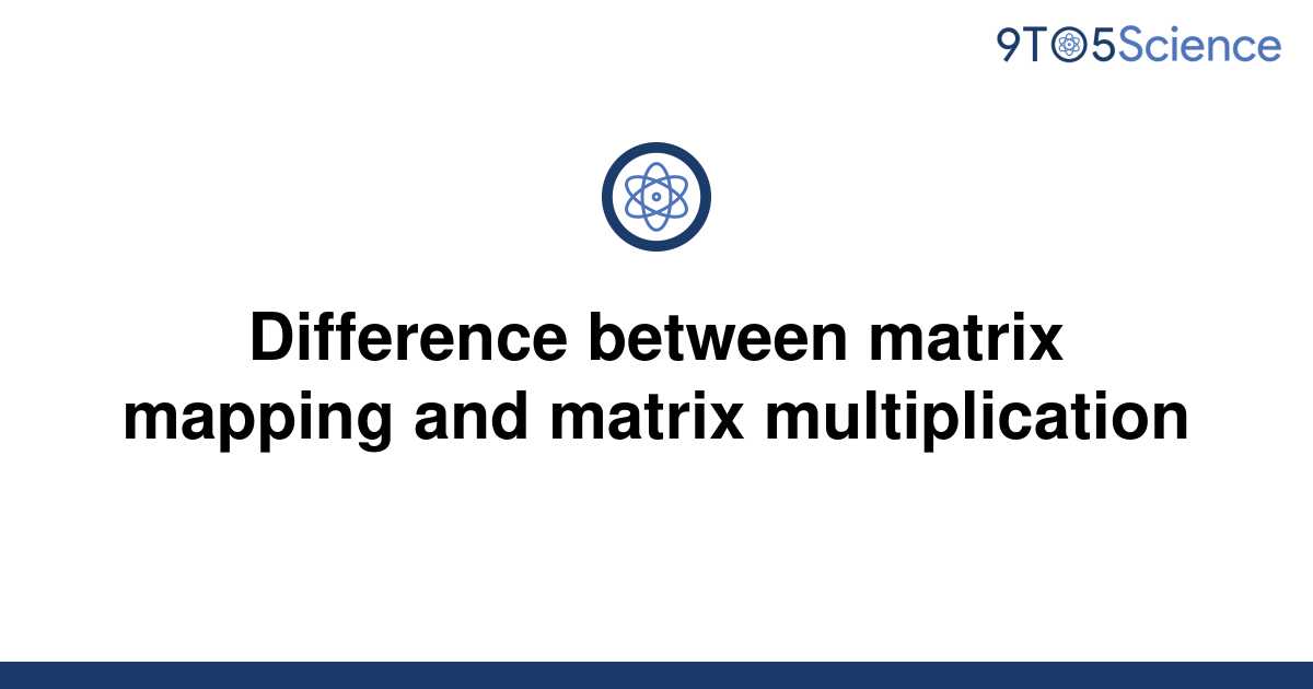 difference-between-vector-and-matrix