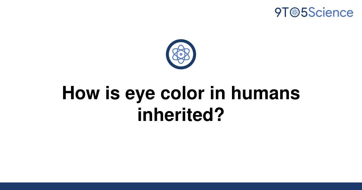 solved-how-is-eye-color-in-humans-inherited-9to5science