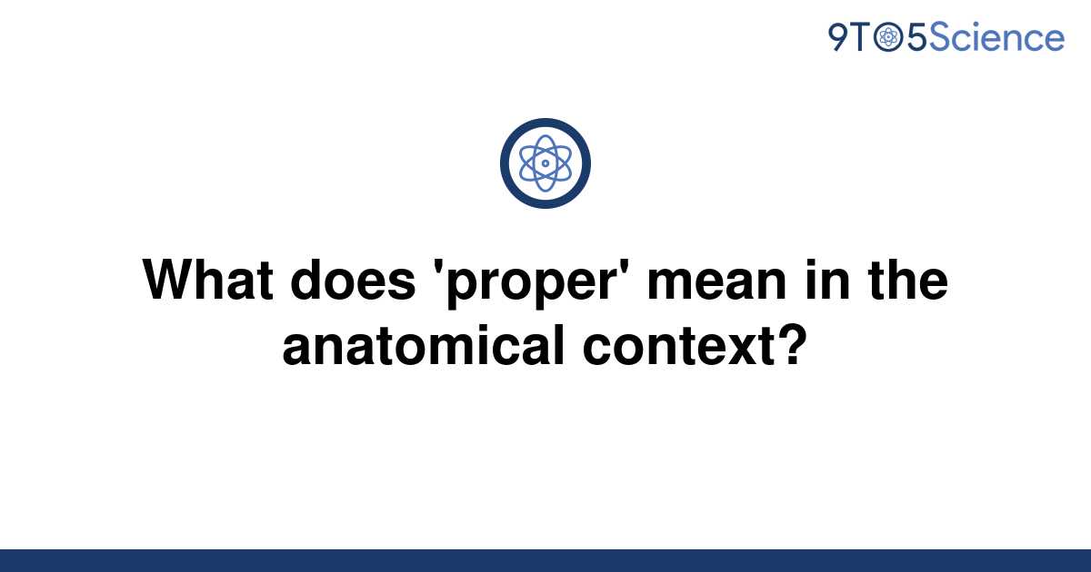 solved-what-does-proper-mean-in-the-anatomical-9to5science