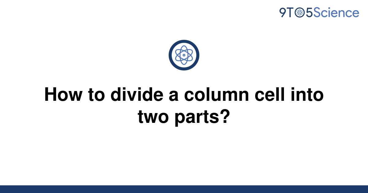 solved-how-to-divide-a-column-cell-into-two-parts-9to5science