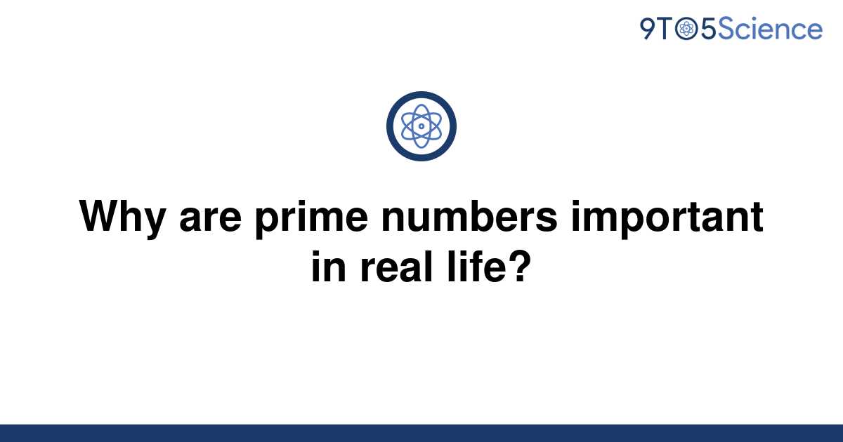 Why Are Prime Numbers Important In Real Life