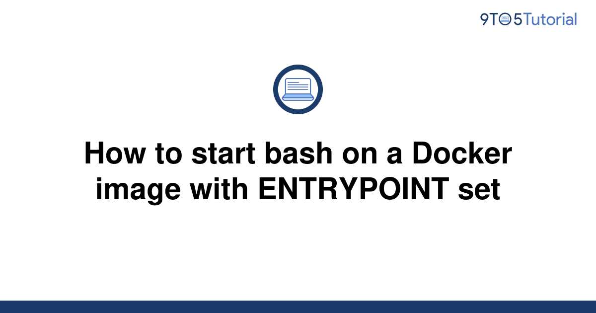 Docker Entrypoint Example Bash