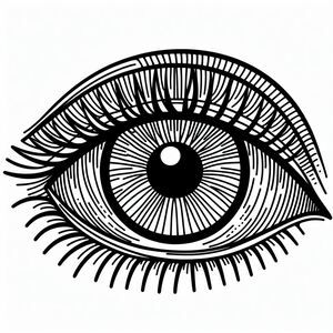 A black and white drawing of an eye