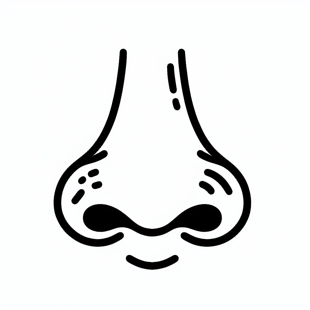 A black and white drawing of a nose 4