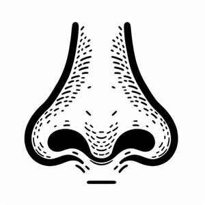 A black and white drawing of a nose