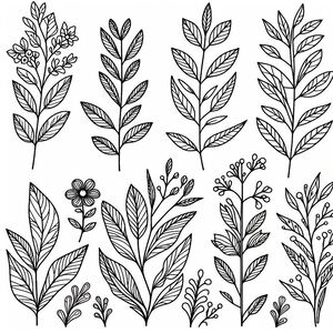 A line drawing of leaves and flowers