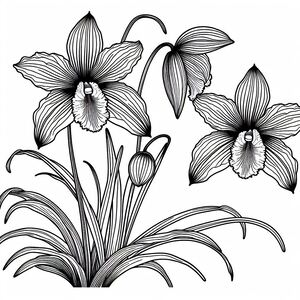 A black and white drawing of three flowers