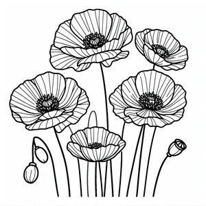 A line drawing of poppies in black and white