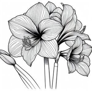 A black and white drawing of flowers