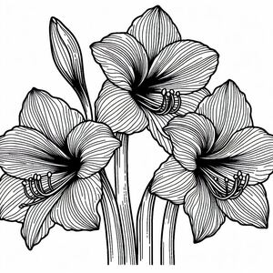 A black and white drawing of three flowers