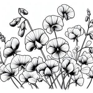 A black and white drawing of flowers 4