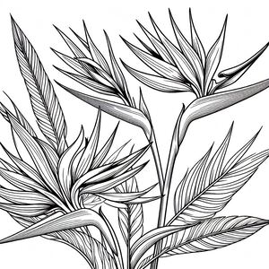 A black and white drawing of a plant 3