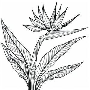 A black and white drawing of a plant